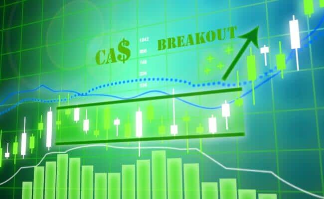 Mark chapman forex